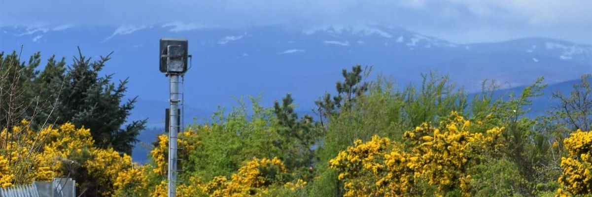 cp_warner's profile banner image