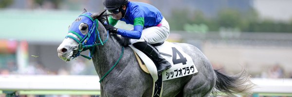 code_jade Profile Banner