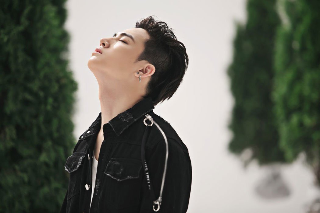 palmmy' jung'' banner