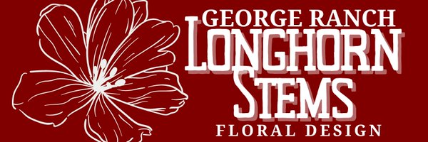 Longhorn Stems Profile Banner