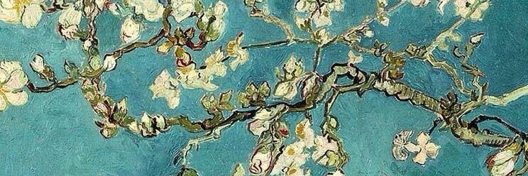 EdnaGarcy's profile banner image