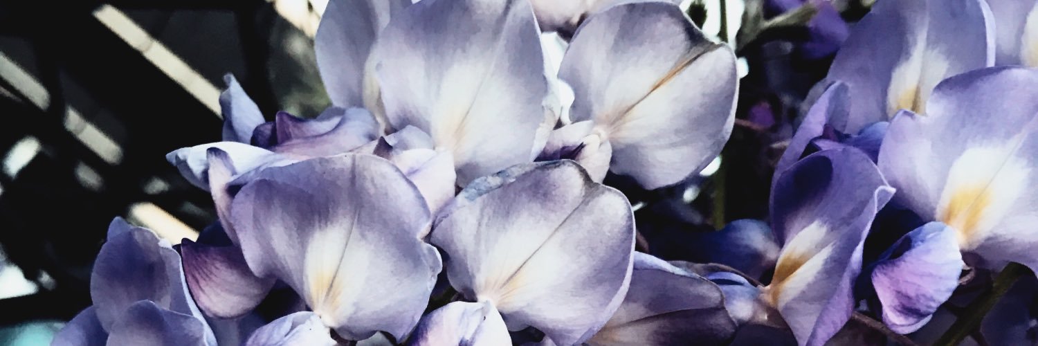 RachhhhD's profile banner image