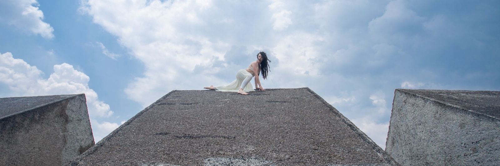 AniArteSa's profile banner image