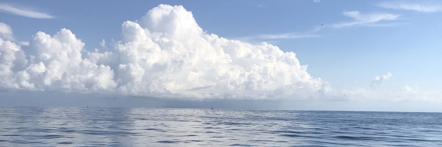 EmShea7's profile banner image