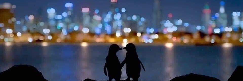 Eyes Wide Open banner