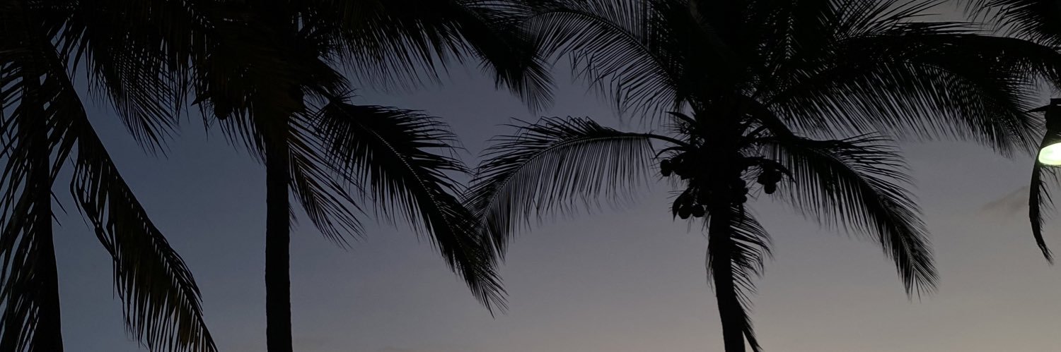 michelle_mib's profile banner image