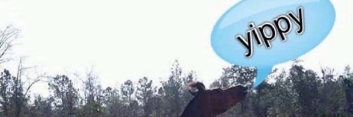 beckster!🔞 banner