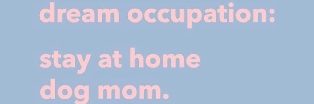 C🦋 banner
