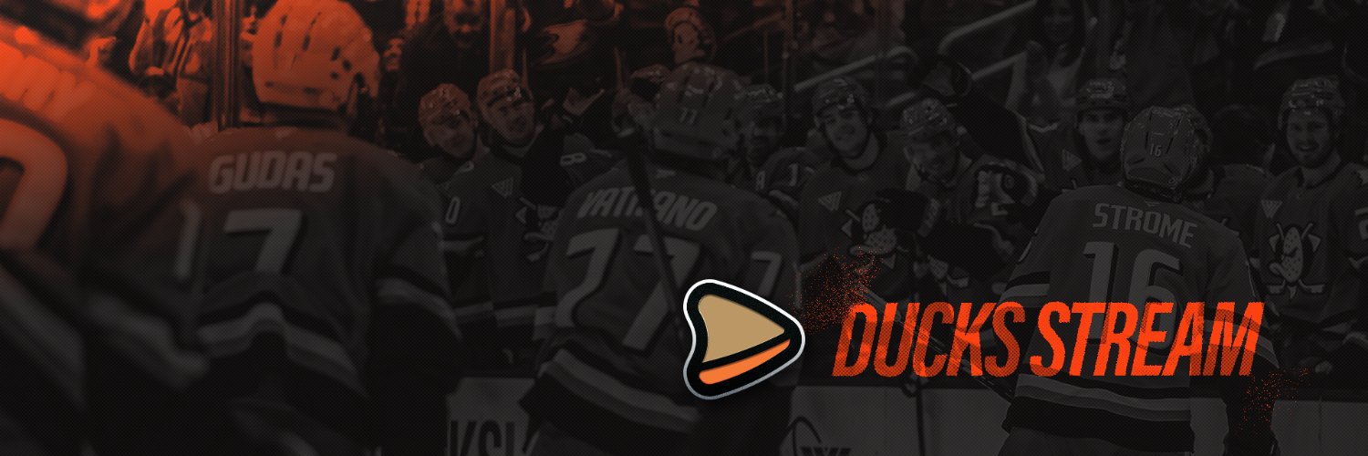 Ducks Stream's banner