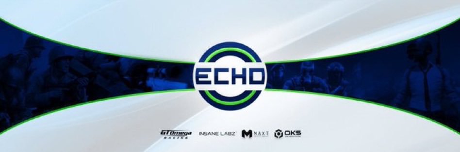 Echo Gaming banner