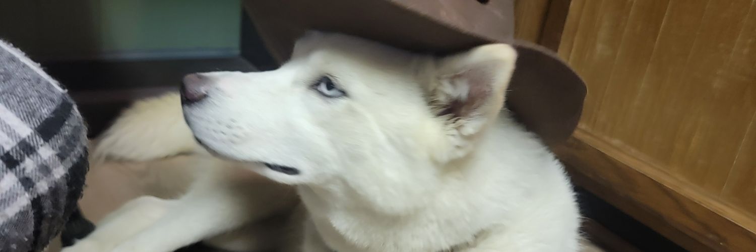 Pork (comms open)'s banner
