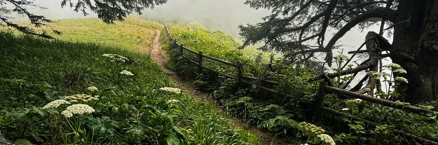 ‎ ⋆ ⋆ ⋆ ⋆ ⋆ banner