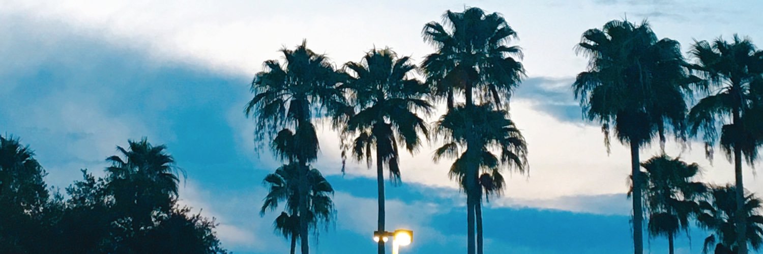 patovt's profile banner image
