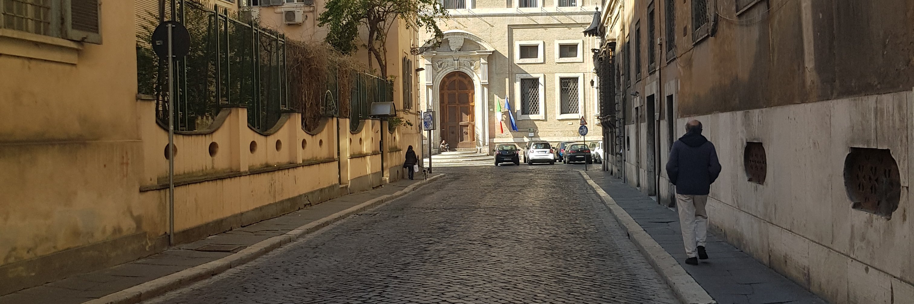 danni toma banner