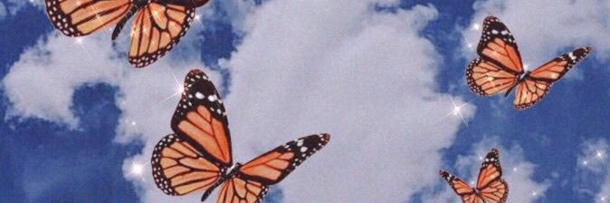 LaurTar's profile banner image