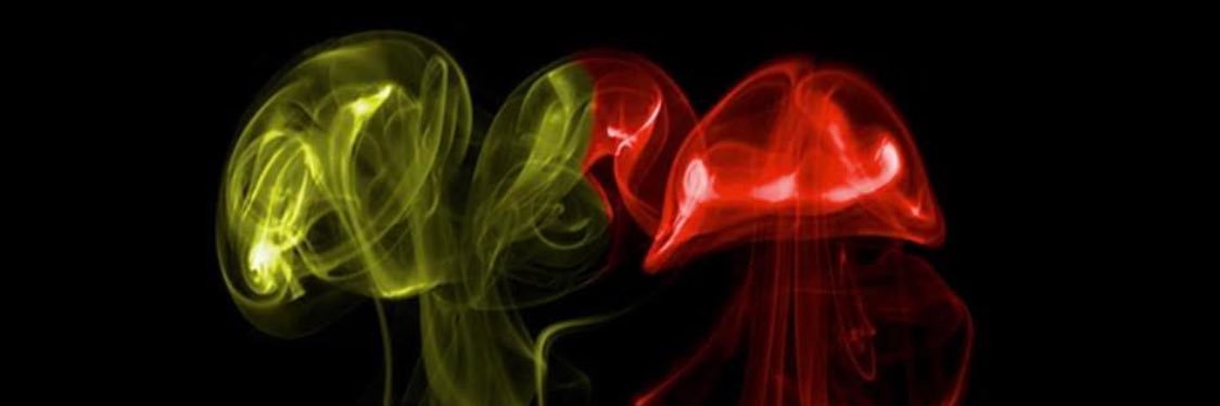 loyaltyMedZ's profile banner image