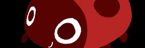 allcatzoo's profile banner image
