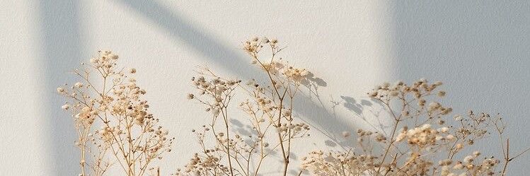 linsier27's profile banner image