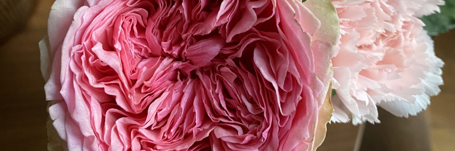 AnnaTupin's profile banner image