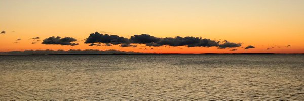 robmarkfoster Profile Banner