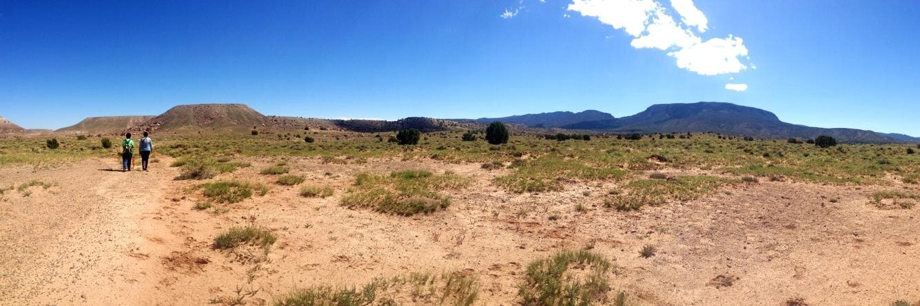 Heather Fleming banner