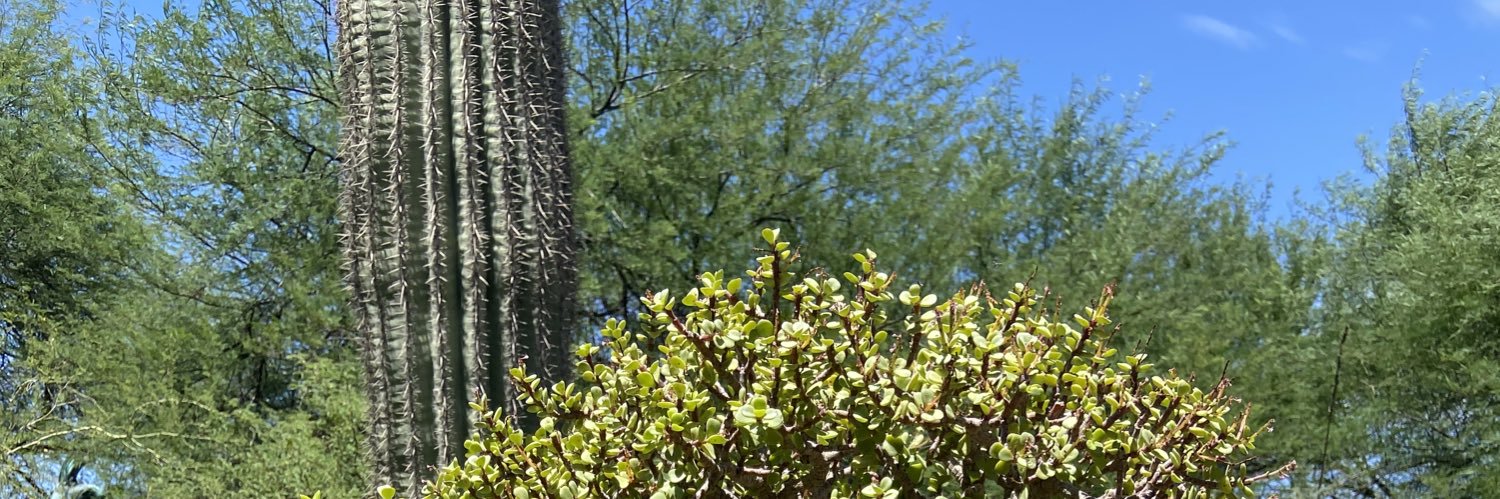 baharbie's profile banner image