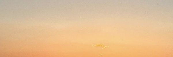 _japalemo Profile Banner