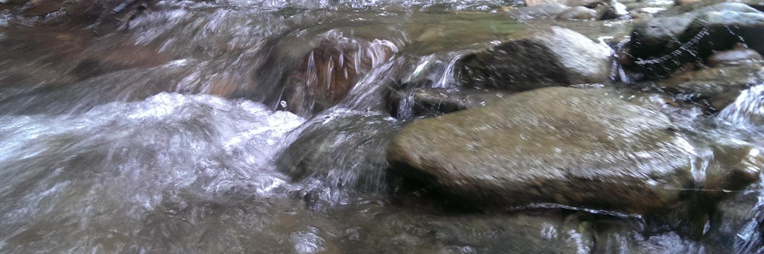 Jennifer Fetter banner