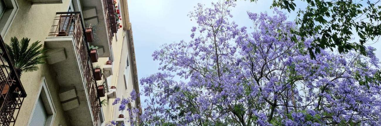 James banner
