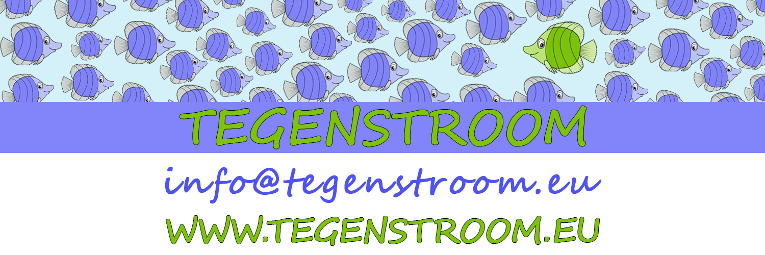 STegenstem's profile banner image