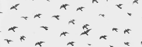 _DangerousWorld's profile banner image