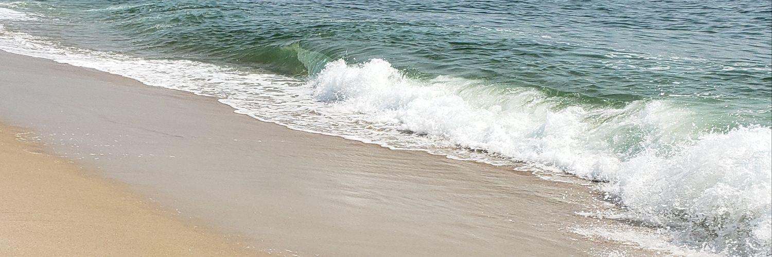 Dr. Deirdre Spollen banner