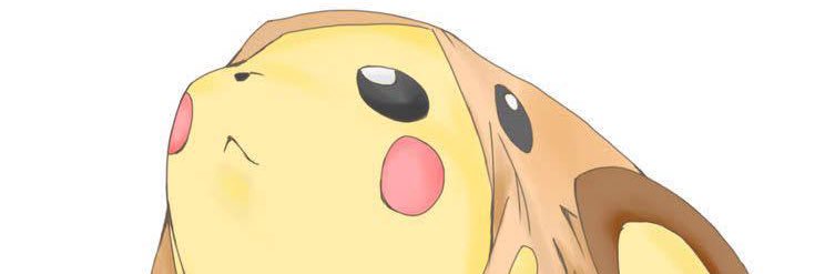 orange64096871's profile banner image