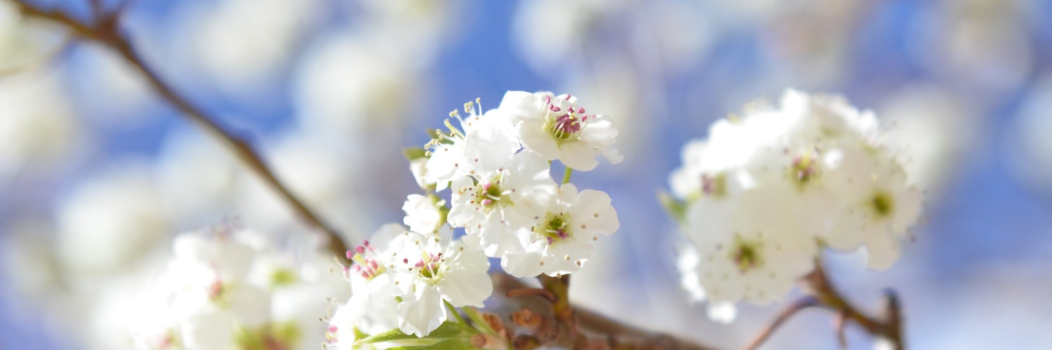 YWAMDenver's profile banner image