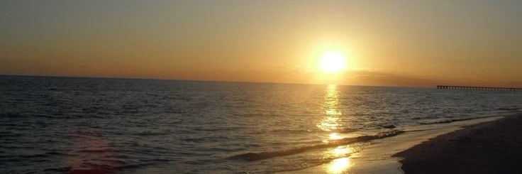 lav banner