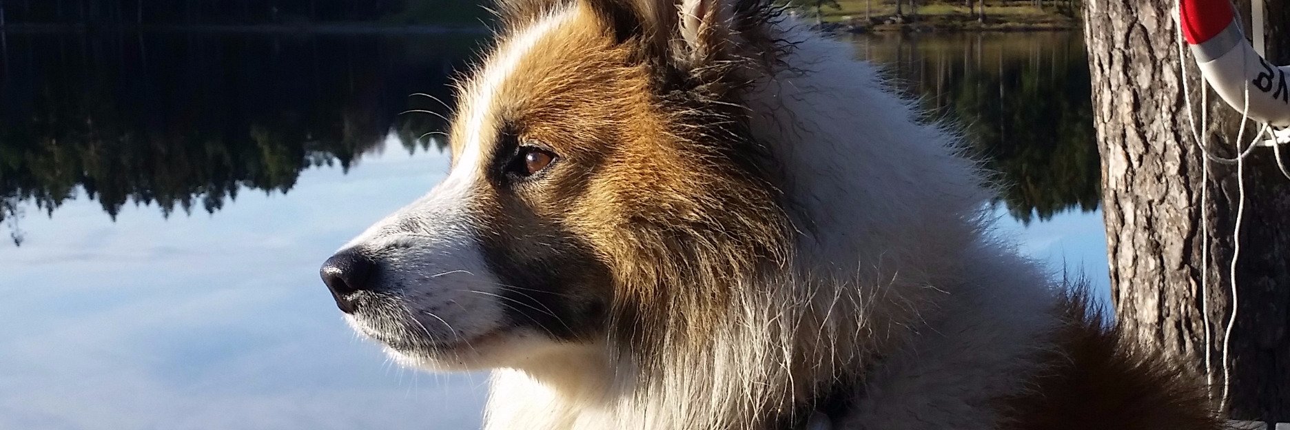 gunnarooo's profile banner image