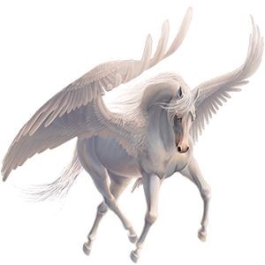 Pegasus banner