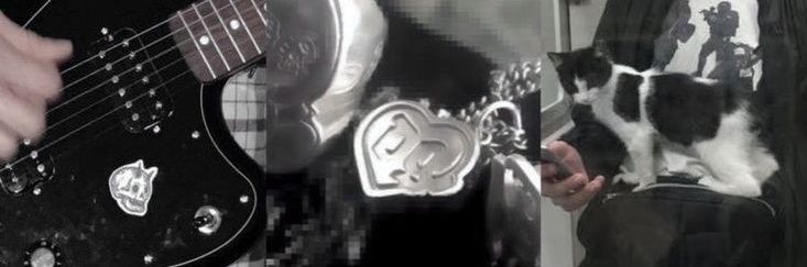 G. banner
