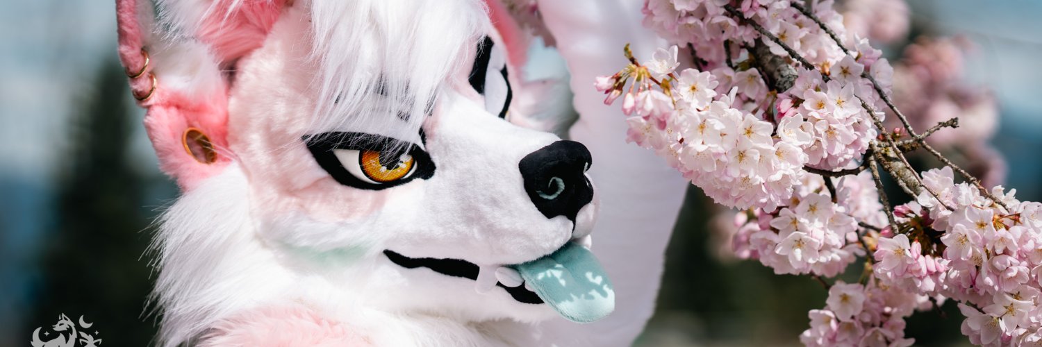 🌸 Saku AD 🌸 banner