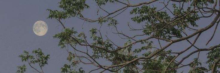 Ashlock152's profile banner image