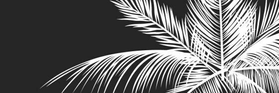 heidimoret's profile banner image