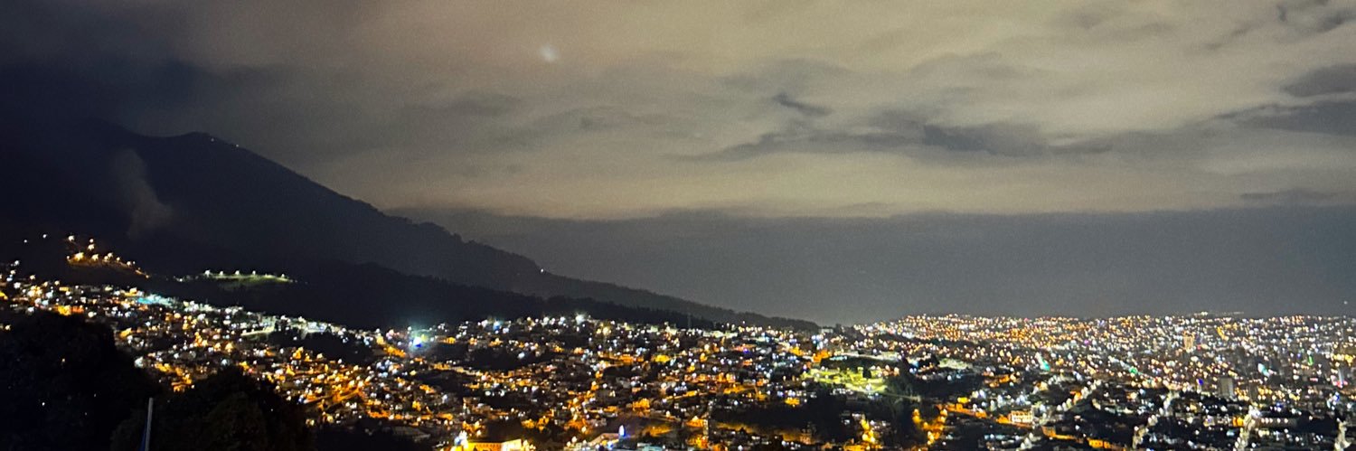 thaislichi's profile banner image