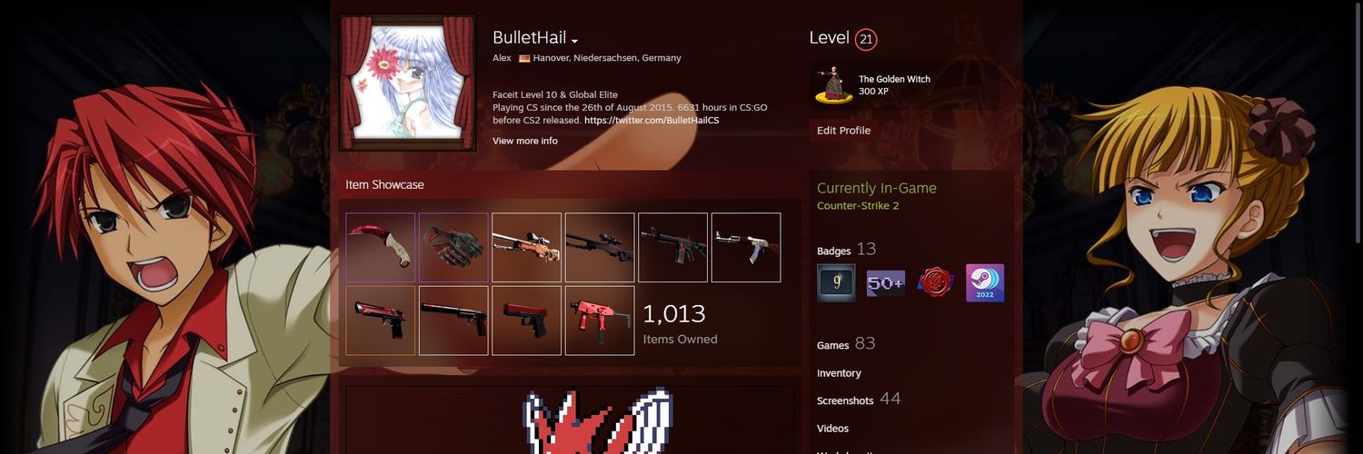BulletHail Profile Banner