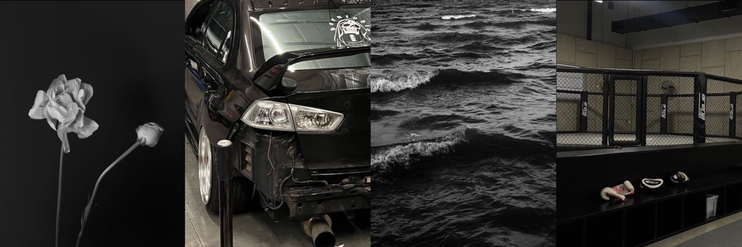 ayanna / ромашка banner