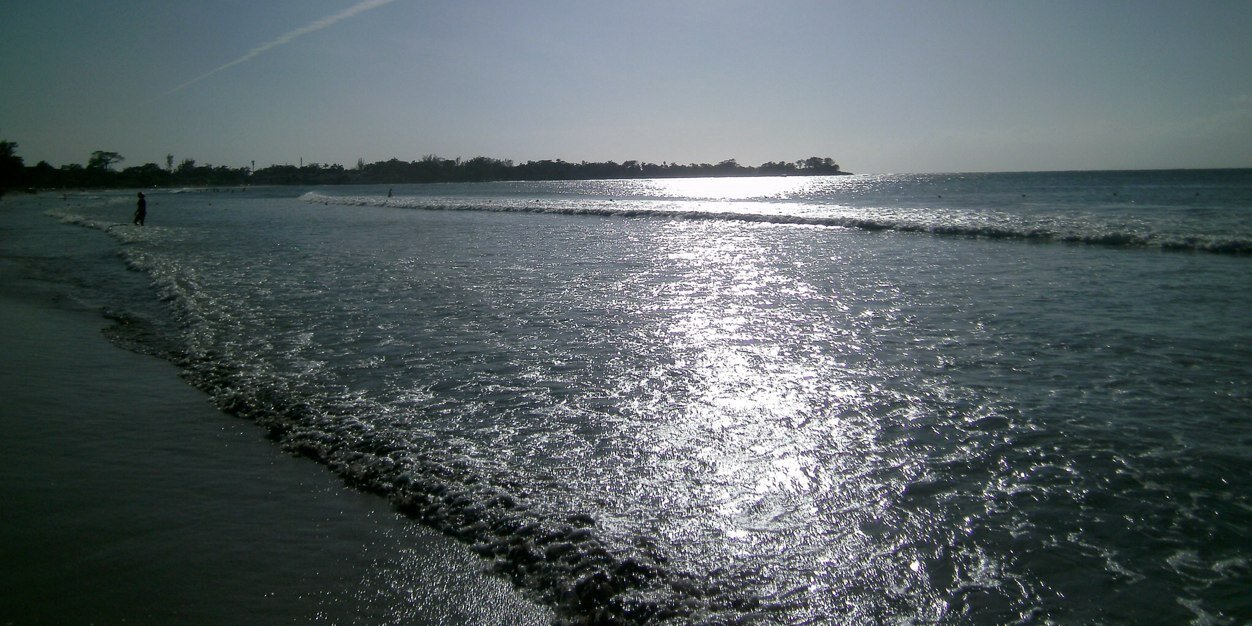 Shelley Laver banner