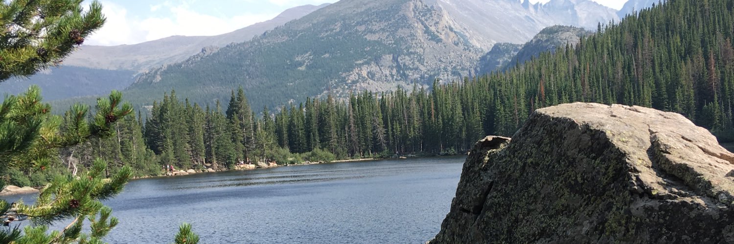April Bonif banner