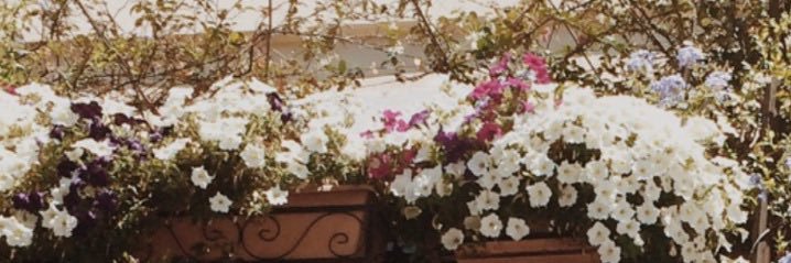 LaurynSucks's profile banner image