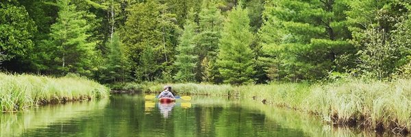 TonWang9 Profile Banner