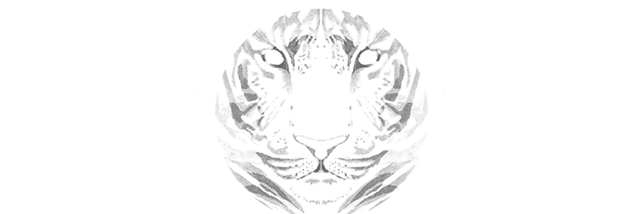 • pixel fix • banner