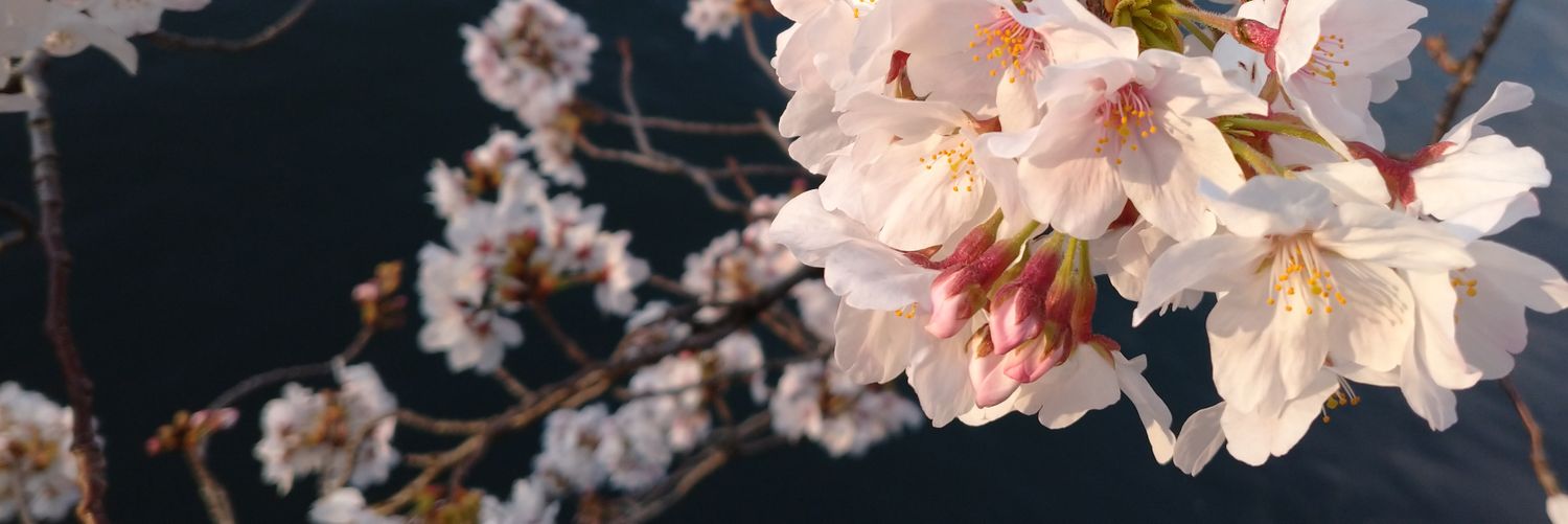 F_ukurubi's profile banner image